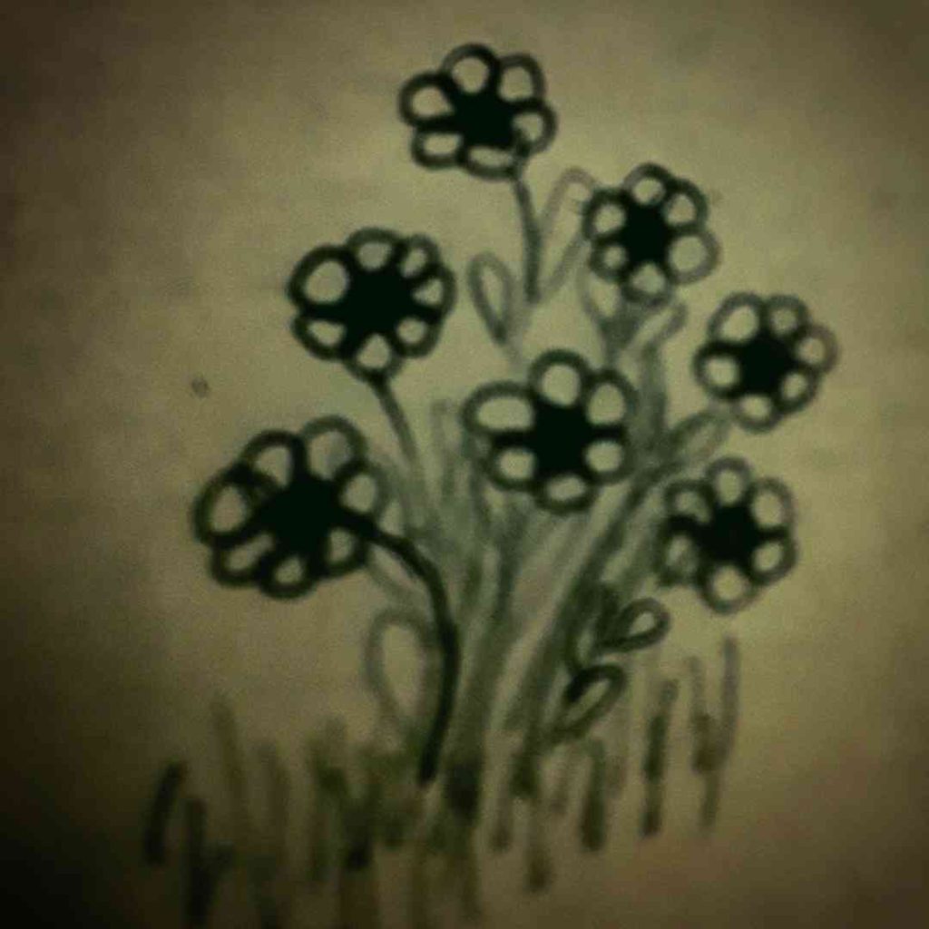 A clump of hand-drawn daisies