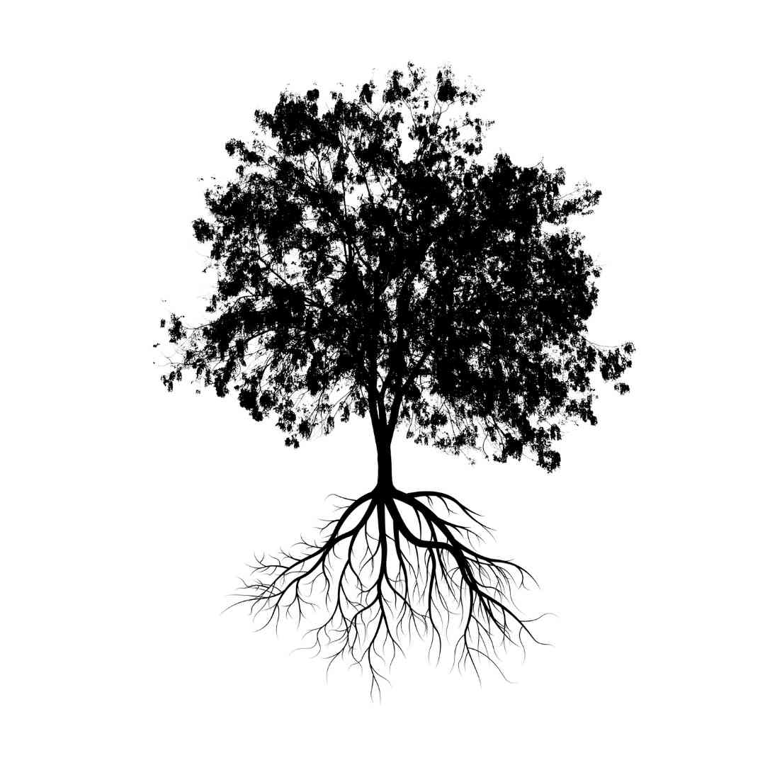 Spring 2021 Teeny Tiny Writing Contest Winner! "The Tree" by Katie Hoff
