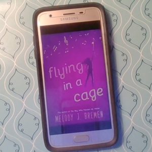 Read more about the article Flying in a Cage