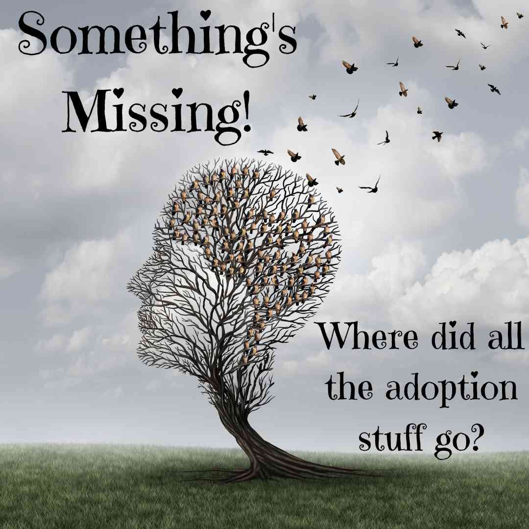 You are currently viewing Where Did The Adoption Stuff Go?
