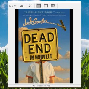 Read more about the article Dead End in Norvelt