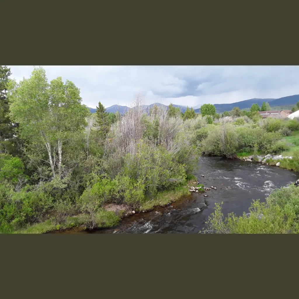 A relaxing picture of a river curving through trees and scrub, mountains in the background