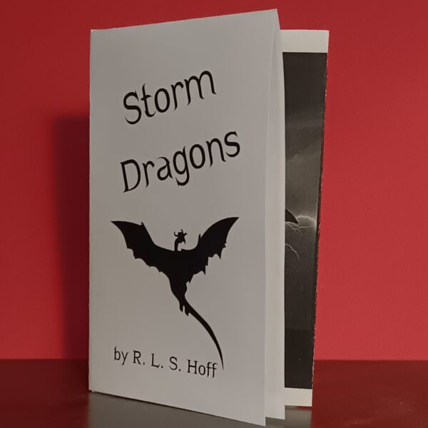 A Storm Dragons zine sits upright on a table in front of a red background.